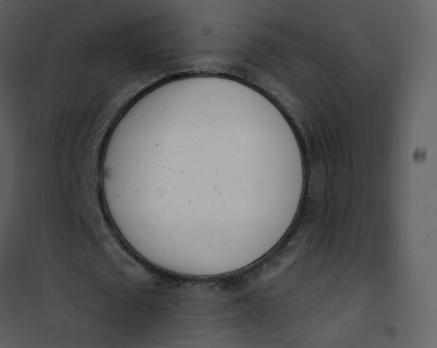 X0000101180673200807181448