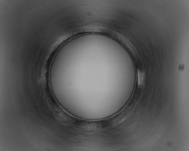 X0000101180675200807181448