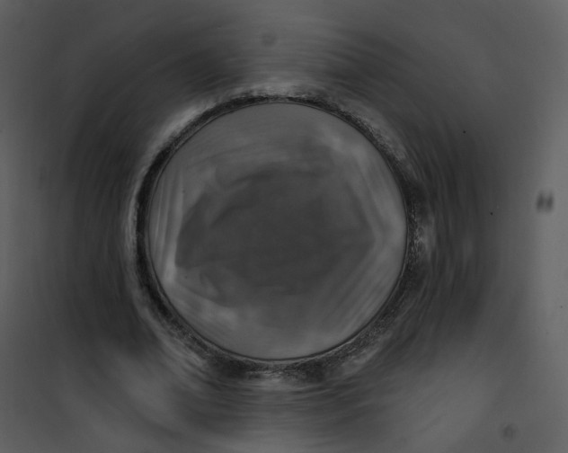 X0000101180678200807181448