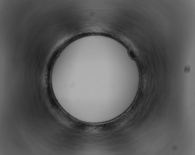 X0000101180680200807181448