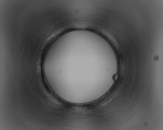 X0000101180681200807181448