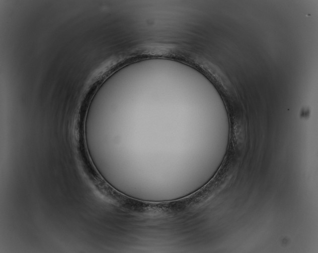 X0000101180682200807181448