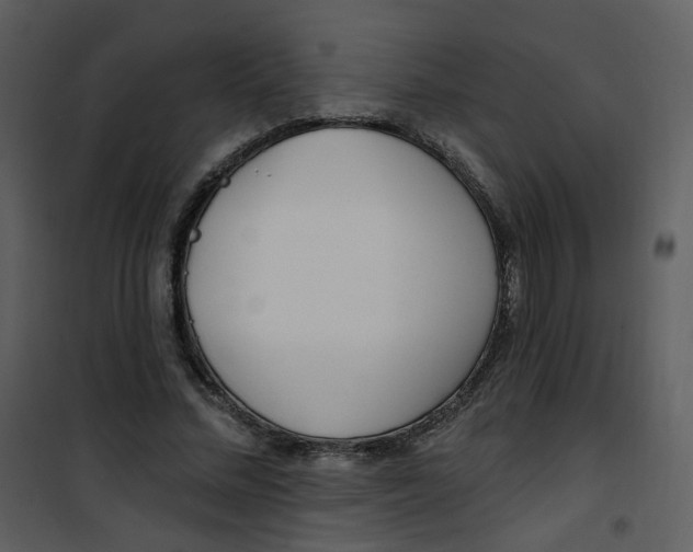 X0000101180684200807181448