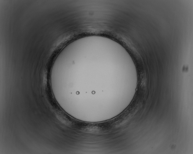 X0000101180685200807181448