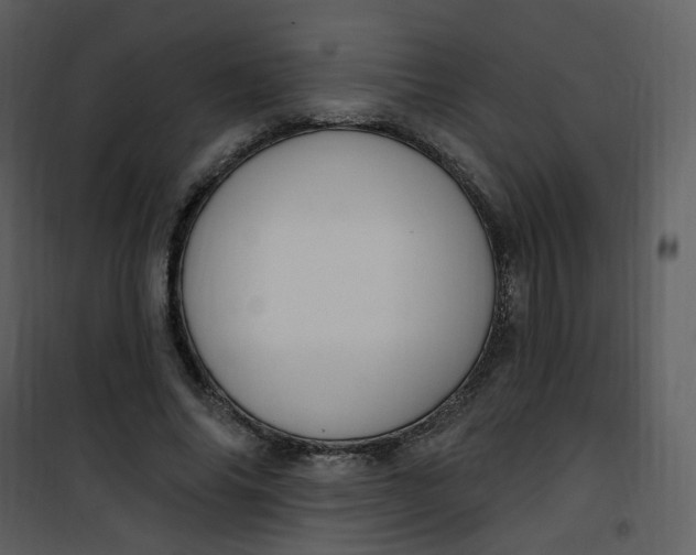 X0000101180686200807181448