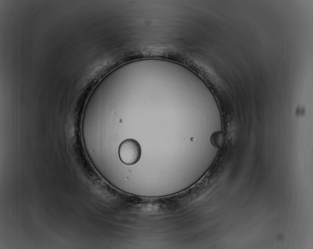 X0000101180687200807181448