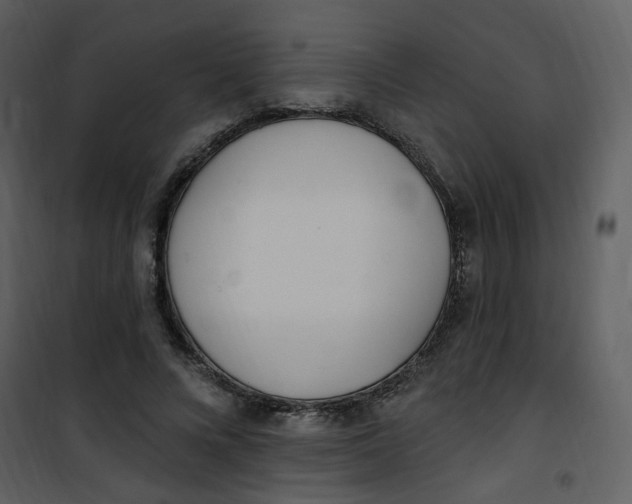 X0000101180688200807181448