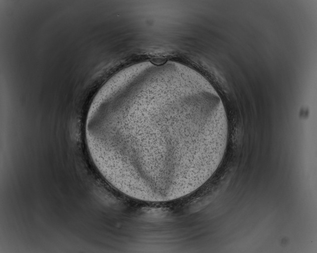 X0000101180689200807181448