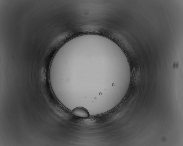 X0000101180692200807181448