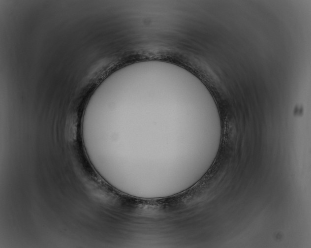 X0000101180694200807181448