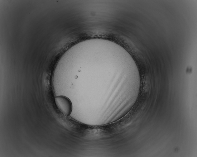 X0000101180695200807181448