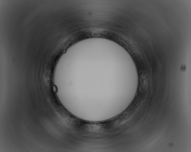 X0000101180698200807181448