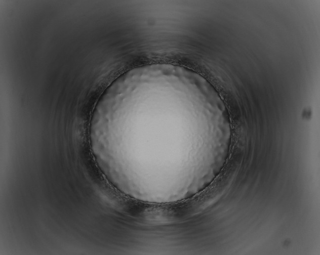 X0000101180699200807181448