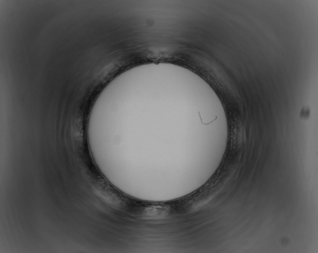 X0000101180700200807181448