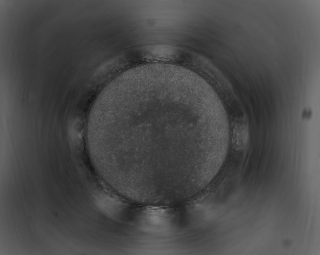 X0000101180701200807181448