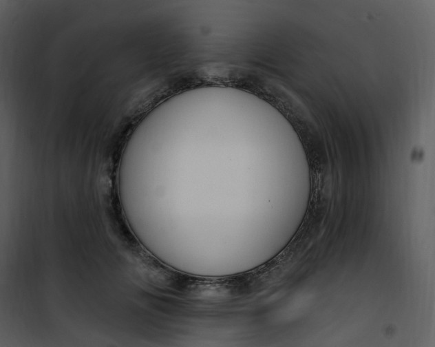 X0000101180702200807181448