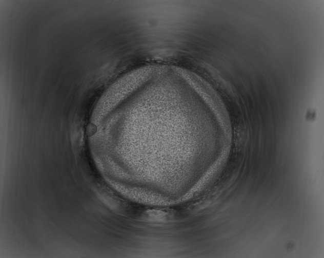 X0000101180703200807181448