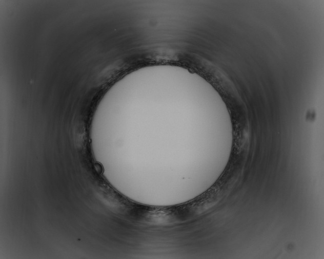 X0000101180704200807181448