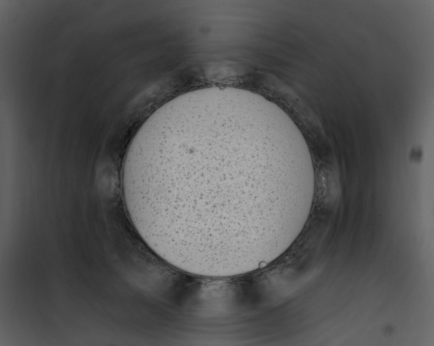 X0000101180705200807181448