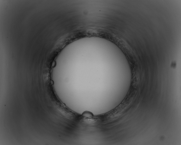 X0000101180706200807181448