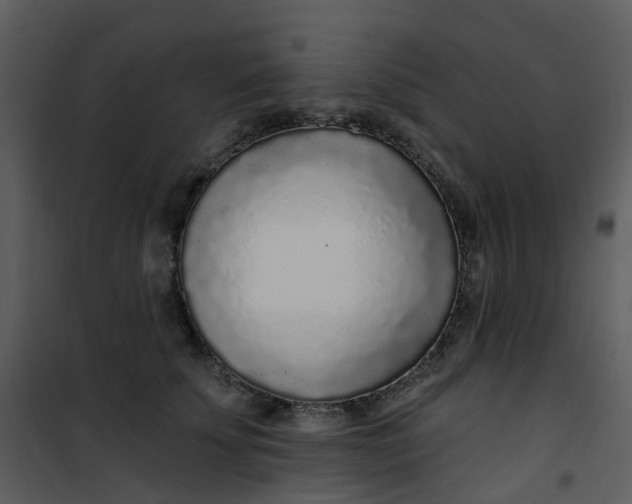 X0000101180707200807181448