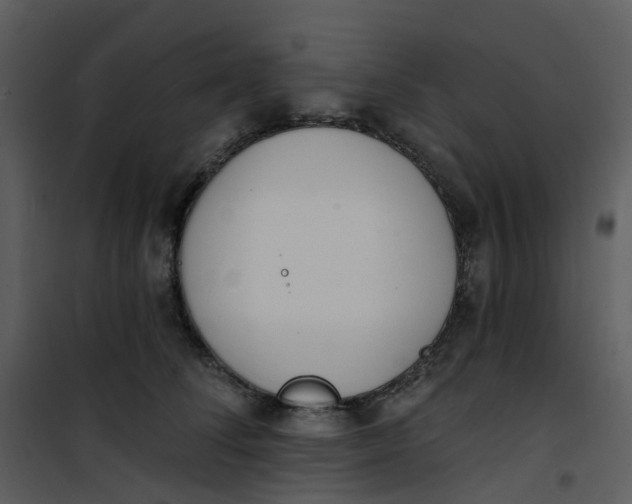 X0000101180708200807181448