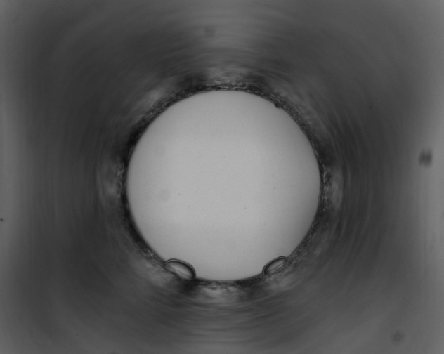 X0000101180712200807181448