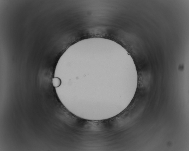 X0000101180713200807181448