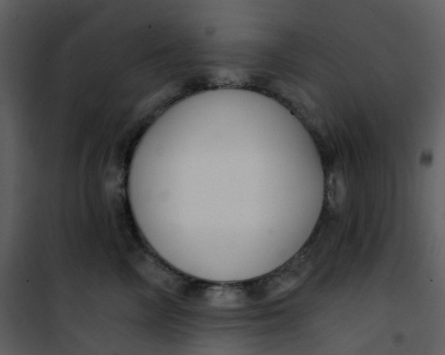 X0000101180714200807181448