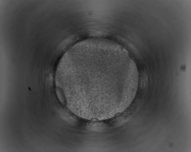 X0000101180716200807181448