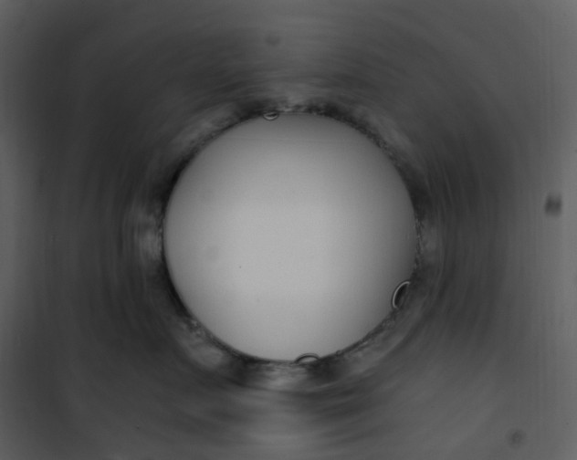 X0000101180719200807181448