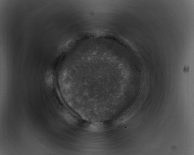 X0000101180720200807181448