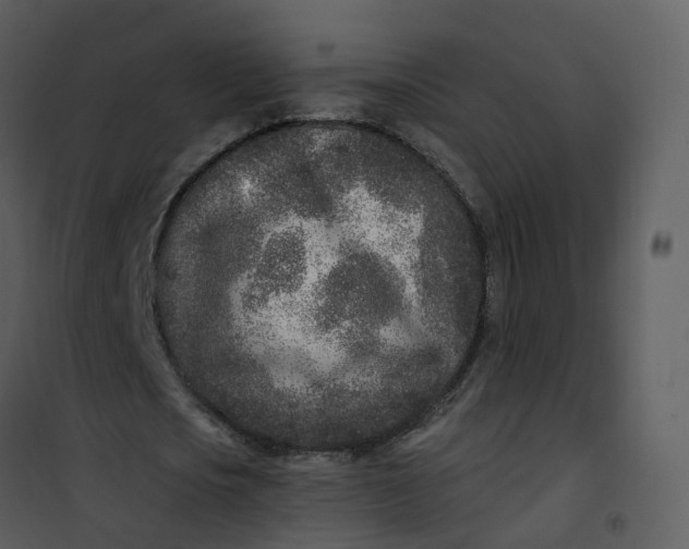 X0000101180721200807181447