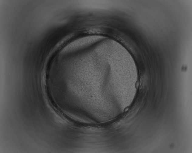 X0000101180722200807181447