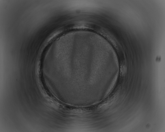 X0000101180724200807181447