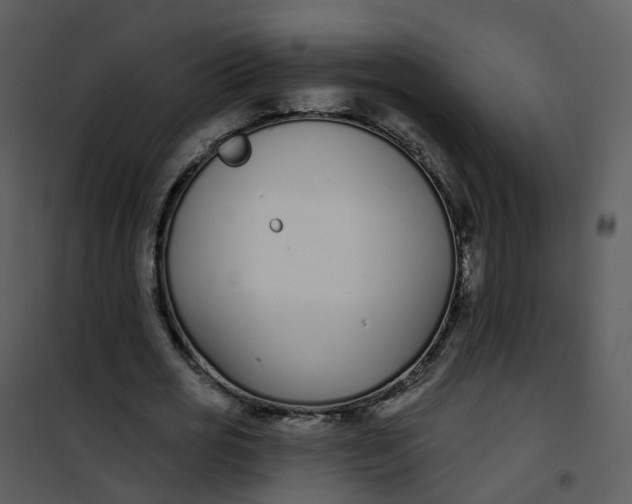 X0000101180725200807181447