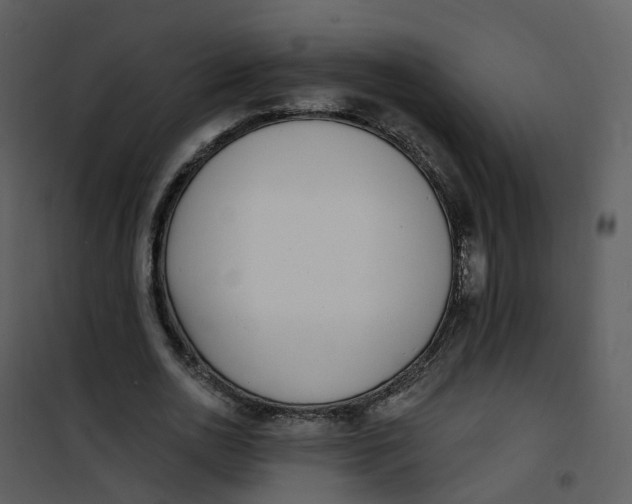 X0000101180726200807181447