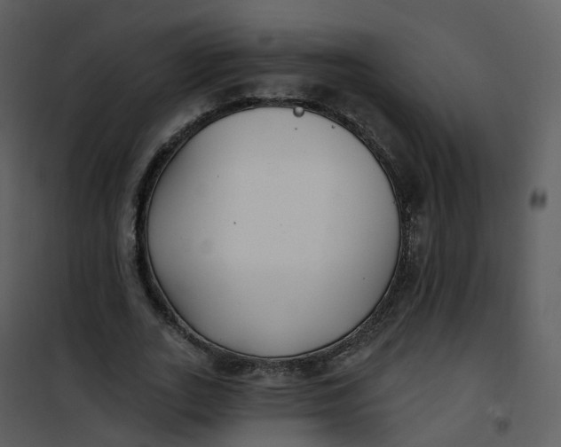 X0000101180727200807181447