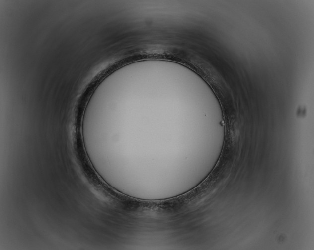 X0000101180728200807181447