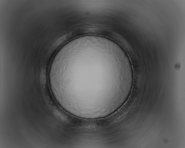 X0000101180729200807181447