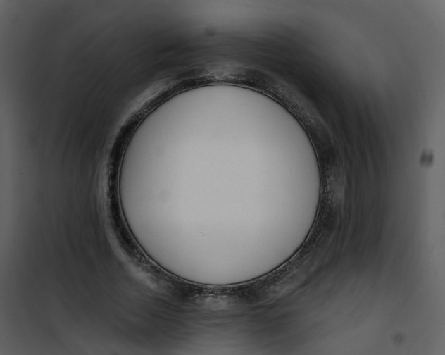 X0000101180730200807181447