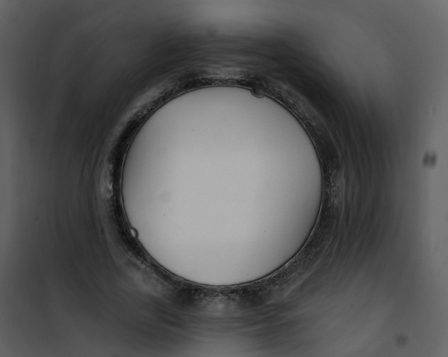 X0000101180731200807181447