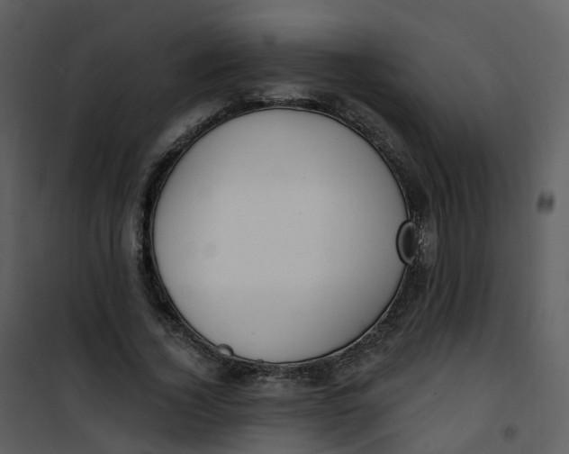 X0000101180732200807181447