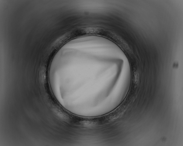 X0000101180733200807181447