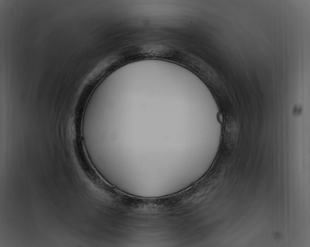 X0000101180734200807181447