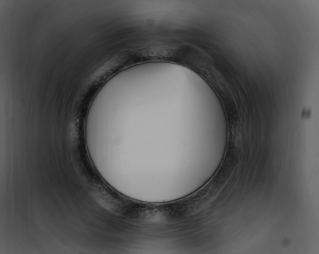 X0000101180735200807181447