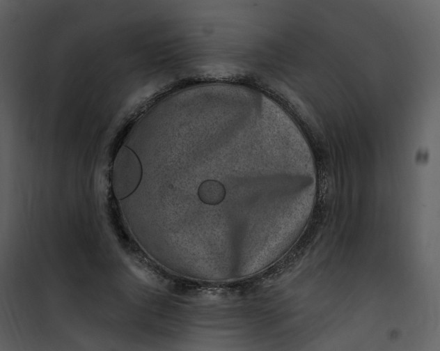 X0000101180736200807181447