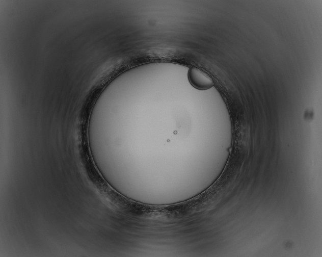 X0000101180738200807181447