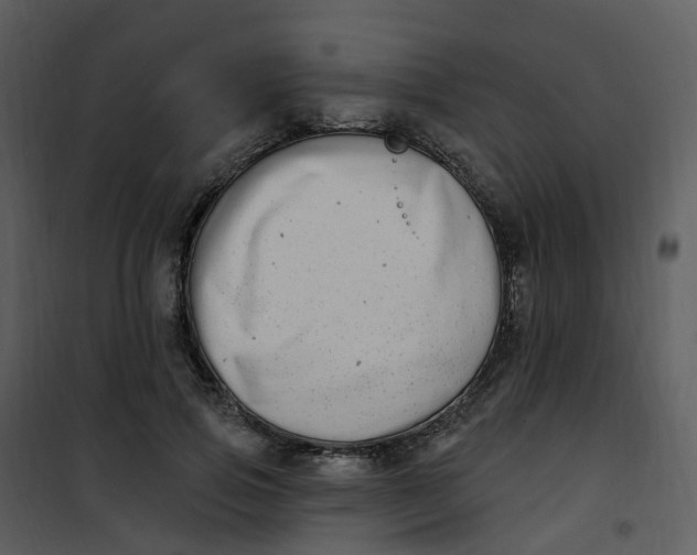 X0000101180741200807181447