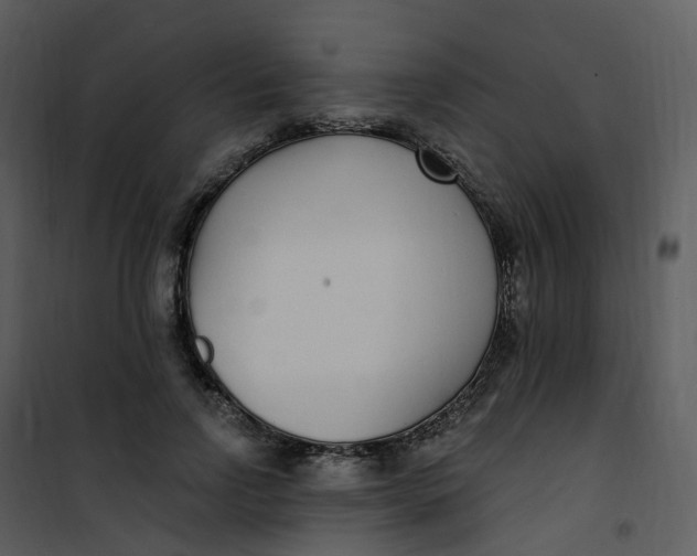 X0000101180742200807181447